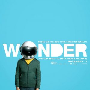 wonder_xlg