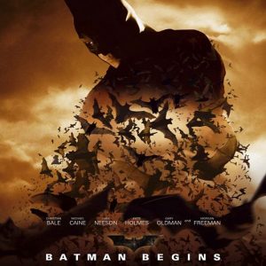 batman-begins-ver4-DS