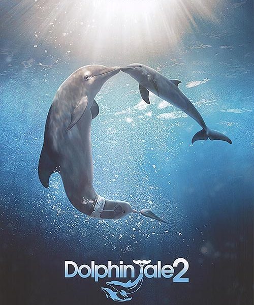 dolphin_tale_2