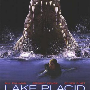 lake placid intl