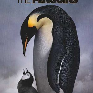 march of penguins