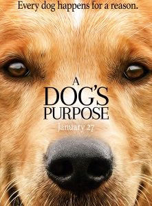 med_dogs_purpose