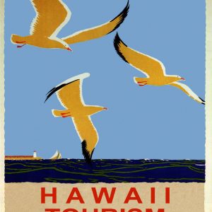 Hawaii tourism