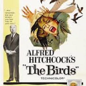 the birds alfred hitchcock