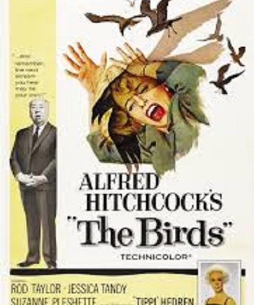 the birds alfred hitchcock