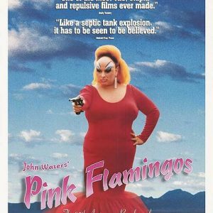 Pink Flamingos 1997